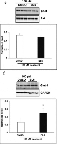 Figure 5. Continued