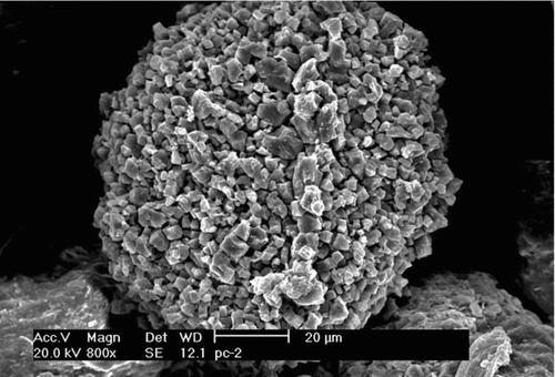 FIG. 4 An SEM image illustrating the aggregates of dust in a Noijin Kangsang surface snow sample after filtration.