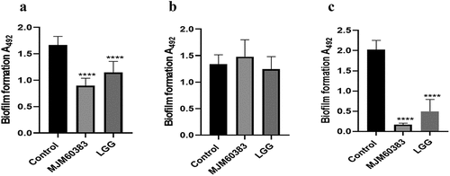 Figure 1. Effect of LAB on S. mutans biofilm formation in a co-culture model. The overnight culture of S. mutans was diluted 100-fold with BHI supplemented with 1% sucrose before treatment with LAB. (A) S. mutans was co-cultured with live LAB. (B) S. mutans was co-cultured with heat-killed LAB. (C) S. mutans was treated with LAB supernatant. In the control group, MRS broth was treated instead of LAB supernatant. Asterisks indicate a significant difference analyzed using the one-way ANOVA with Dunnett’s multiple comparison test. ****p <0.0001, significantly different from the control group.