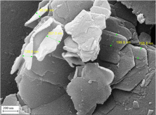 Figure 2. FE-SEM image of Au NPs-kaolin nanocomposite.