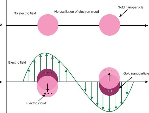 Figure 1 Effect of electric field on oscillations of conduction electrons of gold nanoparticles.