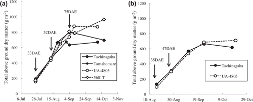 Figure 3. (a) Seasonal change in total above ground dry matter measured at Takatsuki in 2009 and (b) Seasonal change in total above ground dry matter measured at Takatsuki in 2010.