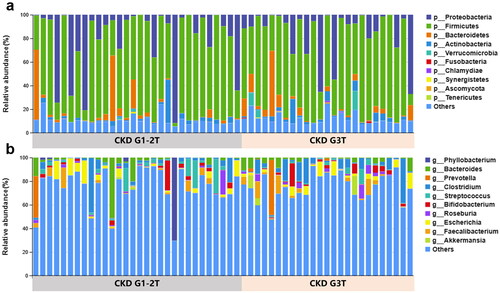Figure 3. Phylogenetic profiles of gut microbes in CKD G1-2T and CKD G3T groups. Fecal microbial composition of the CKD G1-2T and CKD G3T groups at the phylum and genus levels (a,b).