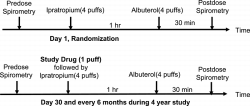 Figure 1. Timing of administration of study drug, ipratropium bromide and albuterol for evaluation of pre and post bronchodilator responses following randomization.
