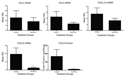 Figure 3. Vaccine-induced chemokine expression is affected by anti-interferon γ antibody administration. TC-1 tumor-bearing mice (n = 3-5 mice per group) were treated with anti-interferon γ (IFNγ) or IgG control antibodies and vaccinated with Lm-LLO-E7 bacteria. CCL4, CCL5, CXCL9 and CXCL10 expression levels were quantified by quantitative RT-PCR or ELISA, as indicated. Mean RQ or protein concentration values ± SEM are reported (*p ≤ 0.05). These experiments were conducted twice with similar results.