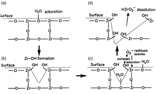 Figure 15. Model of dissolution process of zirconium oxide into water, from [Citation116].