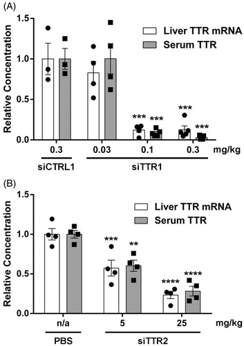 Figure 2. RNAi-mediated knockdown of hepatic TTR gene expression. Liver TTR mRNA and serum TTR protein following single dose administration of siTTR1 or siCTRL1 (A) or siTTR2 or PBS (B) in hTTR V30M HSF1± mice. Bar height represents group mean concentration; error bar represents the SEM; individual data point for each animal displayed as symbols within the bar. Treatment effect evaluated using 2-way ANOVA with Bonferroni’s multiple comparison test (**p < 0.01, ***p < 0.001, ****p < 0.0001). In panel (A), n = 3 for siCTRL1, n = 5 for all other groups. In panel (B), n = 4 for all groups.