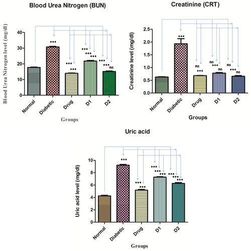 Figure 5 The comparison of PFA-extract effects on BUN (blood urea nitrogen), CRT (creatinine), and uric acid in rats. All the data were presented as mean ± SD. Groups are; normal control, diabetic control, drug control (metformin 100 mg/kg), D1 (dosing group 1; 250 mg/kg), and D2 (dosing group 2; 500 mg/kg). ***Denotes P< 0.0001, P< 0.05, and ns denotes ‘no level of significance’ versus normal control, diabetic control and drug control.