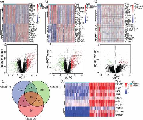 Figure 1. Identification of 10 overlapping up-regulated DEGs in PAAD. (a-c) Heatmaps of top 20 DEGs of pancreatic adenocarcinoma compared with normal tissues in GSE15471(a), GSE16515(b) and GSE55643(c) datasets (up), the red represents high expression and the blue represents low expression. Volcano plots of DEGs of pancreatic cancer compared with normal tissues in GSE15471(a), GSE16515(b) and GSE55643(c) datasets (down), the red represents high expression and the green represents low expression. GSE15471 identified 708 up-regulated genes and 210 downregulated genes. GSE16515 identified 1984 up-regulated genes and 3869 downregulated genes. GSE55643 identified 59 up-regulated genes and 23 downregulated genes. (d) Venn diagram of the 10 overlapping DEGs of GSE15471, GSE16515 and GSE55643. (e) Heatmap of validation of the expression of 10 overlapping DEGs combined with TCGA-GTEx pancreatic cancer datasets. DEGs, differentially expressed genes; PAAD, pancreatic adenocarcinoma; TCGA, The Cancer Genome Atlas; GTEx, Genotype-Tissue Expression Project