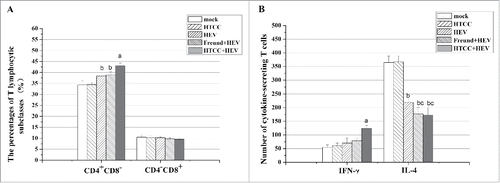 Figure 2. Number of T cells in immunized mice. Data are presented as mean ± SD. The error bars represent the SD with 10 mice per group per experiment. A: The percentage of CD4+ and CD8+ T lymphocytic subclasses. B: Number of cytokine-secreting T cells. a P < 0.05 in comparison with the other 4 groups. b P < 0.05 in comparison with the mock and HTCC groups. c P < 0.05 in comparison with the HEV group.