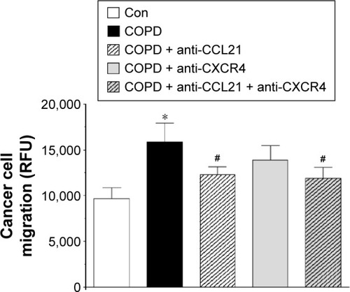 Figure 5 Efficiency of lung cancer cell migration upon neutralization of CCL21- and CXCL12-related signaling.