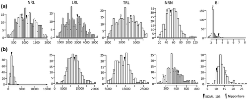 Figure 6. Frequency distribution of root traits of F2 mapping population under soil moisture fluctuation (SMF) conditions at (a) vegetative (38 DAS) and (b) reproductive stages (80 DAT). NRL, total nodal root length (cm plant−1); LRL, total lateral root length (cm plant−1); TRL, total root length (cm plant−1); NRN, total nodal root number (No. plant−1) and BI, branching index (cm LRL cm−1 NRL).