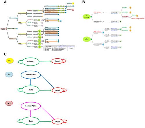 Figure 1 (A) Decision tree model. (B) Decision tree model (continue). (C) Markov model.