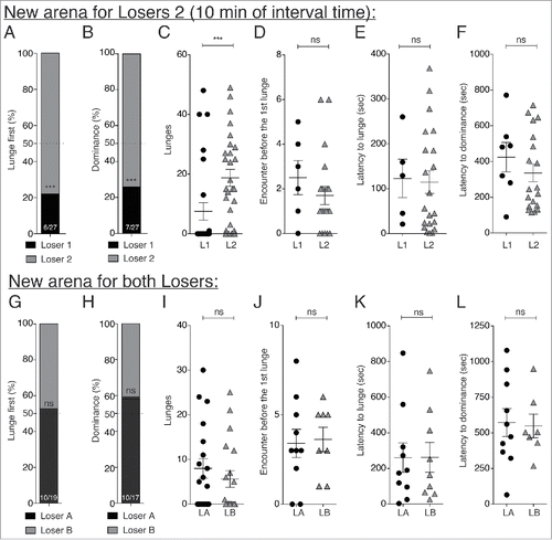 Figure 2. Loser flies showed a competitive disadvantage when 1st and 2nd fights were performed in the same arena. (A through F) After 10 min of rest, Losers 1 (L1 - “resident” - 1st and 2nd fights performed in the same arena) showed a lower percentage of first lunges (A) (6/27, Fisher's exact test L1-L210 min: p < 0.0001) and won a significantly lower percentage of second fights (B) compare with Losers 2 (L2 - “intruder” - flies moved to a different arena for 2nd fights – 7/27, Fisher's exact test L1-L210 min: p = 0.0009). (C) L1 flies delivered significantly fewer lunges than L2 flies during 2nd fights (L1-L210 min: p = 0.0004, n = 27). However, no differences were seen between L1 and L2 in: the numbers of encounters before the first lunge (D) (L1-L210 min: p = 0.313, nL1 = 6, nL2 = 20); the latencies to lunge (E) (L1-L210 min: p = 0.713, nL1 = 5, nL2 = 21); or the latency to establish dominance (F) (L1-L210 min: p = 0.363, nL1 = 7, nL2 = 20). (G through L) When both losers were moved to new arenas for the 2nd fights, Loser 1 did not show a significant reduction in lunging first (G) (10/19, Fisher's exact test LA-LB10 min: p = 1), and in establishment of dominance relationships (H) (10/17, Fisher's exact test LA-LB10 min: p = 0.493), the numbers of lunges (I) (L1A-LB10 min: p = 0.458, n = 19), the numbers of encounters before the first lunge (J) (LA-LB10 min: p = 0.736, nLA = 10, nLB = 8), the latency to lunge (K) (LA-LB10 min: p > 0.999, nLA = 10, nLB = 9), or the latency to establish dominance (L) (LA-LB10 min: p > 0.999, nLA = 10, nLB = 7).