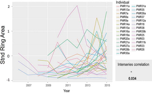 Figure 2. Ring area spaghetti plot for all individuals at PMR study site. Mean interseries correlation represents the average pairwise correlation between individual series.