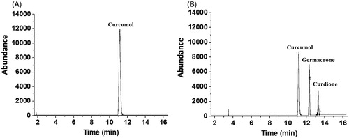 Figure 2. GC–MS total ion chromatograms. (A) Standard curcumol. (B) CRF.