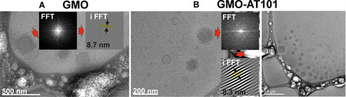 Figure 1 Cryo-TEM images of: (A) unloaded GMO cubosomes; (B) drug-loaded GMO-AT101 cubosomes. Insets in images are the FFT and iFFT of the arrowed cubosome showing a diffuse brightness peak, revealing the periodical internal structure of the prepared nanoparticles.