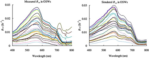 Fig. 8 Measured Rrs spectra (left) and simulated Rrs spectra (right) in the OSWs of Lake Taihu.