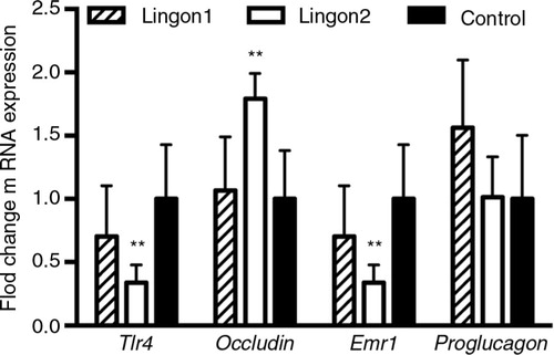 Fig. 3 Intestinal gene expression of markers related to inflammation and gut barrier integrity. The fold change of jejunal mRNA levels of indicated genes are displayed relative to the expression in the control group. Lingon2 significantly increased expression of the gene for Tlr4 (LPS-stimulated receptor), the tight-junction protein occludin and the macrophage marker Emr1 (F4/80). Values significantly different from control are depicted **p<0.01 (one-way ANOVA), mean±SD, n=6–7.