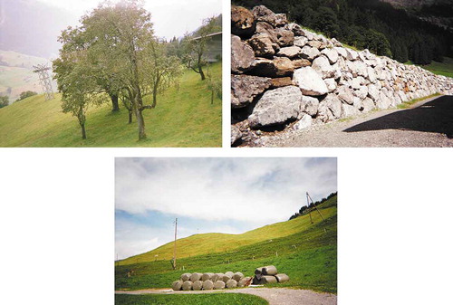 FIGURE 7. Orchard tree, stone wall and silo bales. Source: Farmers 9, 23 and 22