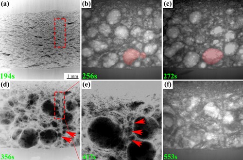 Figure 4. Series of images of interface monitored by x-ray radioscopy: (a) cracks at the interface; (b)∼(c). pore coalescence marked with red; (d) small pores and the high-density region at the interface marked with arrows and rectangular; (e) small pores in the high-density region marked by arrows; (f) foam collapse. Figs (a), (d), and (e) were LUT processed for better observation of small pores.
