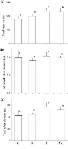 Figure 2. Total tuber number, individual tuber biomass and total tuber biomass of V. natans grown in different treatments at the end of the experiment. C: the control with tap water only; A: NH4+ enriched tap water; K: K+ enriched tap water; and AK: NH4+ and K+ enriched tap water. Values are the mean ± SD (n = 5). Different letters indicate significant differences (p < 0.05).