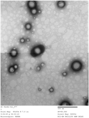 Figure 2. TEM micrograph of the optimized TPT-NPs.