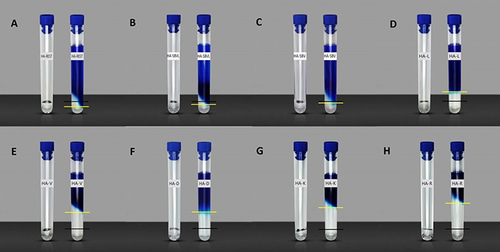 Figure 1 Results of Experiment 1 (hydration test). The swelling capacity of each of the eight hyaluronic acid gels (A–H) was evaluated based on the difference between the original volume (1mL; black demarcation line on the experimental vials; for reference, 1mL of each product is also depicted in the vial to the right of each sample) and the volume of expanded gel (indicated by the yellow line). The swelling capacity of each filler is thereby reflected by the space between the yellow and black lines and was calculated as the percent increase in volume from baseline (Table 2).