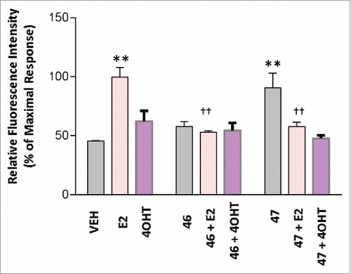 Figure 7. BR compounds effects on MCF7 breast cancer cell proliferation. MCF7 cells were treated with 5uM of test compound for 8 hours at 37°C with 5% CO2 and 10% humidity. 0.1% DMSO was used as vehicle and 1nM E2 was used as a positive control. A Click-iT 5-ethylnyl-2′-deoxyuridine (EDU) Alexa Fluor 488 based HCS assay was then performed in the 96 well format. The fluorescence intensity was captured using 495nm excitation and 519nm emission filters with the Bio-Tek Synergy plate reader. All assays were run in triplicates and at least 3 independent experiments. Error analysis and statistics was performed using GraphPad Prism. Results represent the mean ± standard deviation, where * or † represents p < 0.05 and ** or †† represents p < 0.01. Two-way ANOVA analysis was performed with a Bonferroni multiple comparison posttest. The * was used to identify statistically significant data from the treatment vs. vehicle comparison. The † was used to identify statistically significant data from the treatment and E2 vs. E2 alone comparison.
