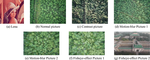 Figure 5. Test images.