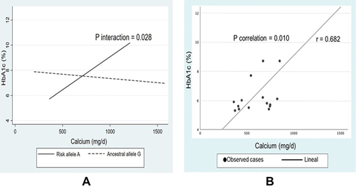 Figure 1 Interaction and correlation between dietary calcium and OCT1 polymorphism regarding HbA1c. (A) Interaction between dietary calcium and OCT1 polymorphism regarding HbA1c values. (B) Correlation between dietary calcium and HbA1c values within risk allele A carriers + metformin monotherapy adjusted by age, sex and energy intake.