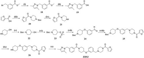 Scheme 3. Reagents and conditions: (i) 3,5-dimethylpyrazole, K2CO3, DMF, 50 °C, 1 h; (ii) NaOH, MeOH/H2O, 65 °C, 2 h; (iii) tert-butyl piperazine-1-carboxylate, CDI, DCM, TEA, overnight; (iv) TFA, DCM, 0 °C to rt, 3 h; (v) (Boc)2O, TEA, DCM, 0 °C to rt, 1 h; (vi) methanesulfonyl chloride, TEA, DCM, 0 °C to rt, 2.5 h; (vii) 3-hydroxybenzaldehyde, K2CO3, DMF, 90 °C, 48 h; (viii) 21, STAB, THF, 70 °C, 3 h; (ix) TFA, DCM, 0 °C to rt, 2 h; (x) 19, HATU, DIPEA, DCM, overnight.