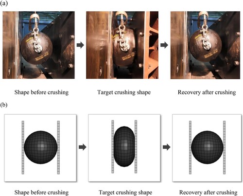 Figure 14. Crushing shapes in the (a) physical test and (b) proposed model.