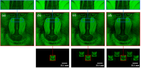 Figure 5 Comparison of the image quality using simulation results. (a) Single-step Fresnel diffraction method with random phase. (b) The conventional DSF method. (c) The MDSF method with three foci. (d) The MDSF method with five foci.
