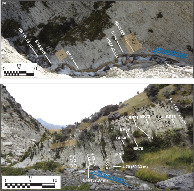 Figure 4 Photographs showing the two sections at Branch Stream, with downstream indicated by blue arrows. Selected samples taken for geochemistry and paleomagnetism are presented for reference with white lines and labels. A, Middle section with the basal ‘zero’ datum near the far left, and the position of the J and K/X events shown by tan bands. B, Most of the upper section with the L event shown by a tan band. For both panels, scale bars are approximate to the centre of the field of view.
