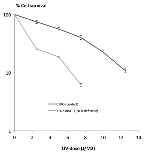 Figure 2. Cell survival assay.