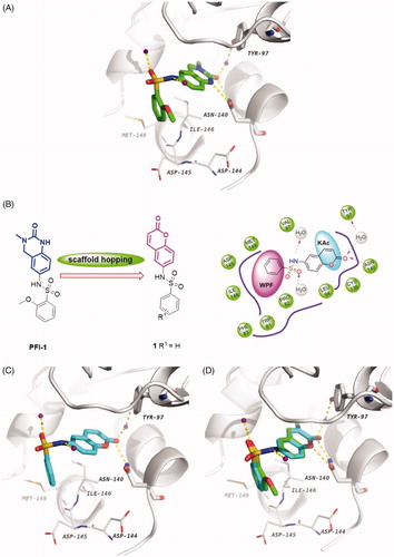 Figure 3. (A) Crystal structure of BRD4 BD1 bound to PFI-1 (PDB ID: 4E96). The protein is shown as a light gray cartoon and PFI-1 is shown as sticks (carbon atoms in green, oxygens in red, nitrogens in blue and sulfurs in brown). (B) Design concept of new BRD4 inhibitors. (C) The docking model of 1 with BRD4 BD1 (carbon atoms in cyan). (D) Superimposition of PFI-1 (green carbon atoms) and 1 (cyan carbon atoms) in their putative bioactive conformations.