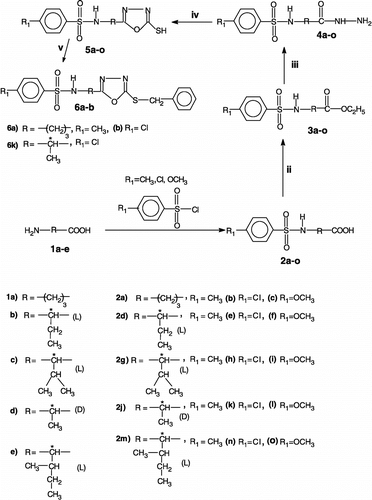 Scheme 1 Reagents and conditions: i) Aq. 5% NaOH, ether, stirring at RT for 6 h; ii) H2SO4 / ethanol, refluxing for 11 h; iii) NH2-NH2.H2O / ethanol (absolute), refluxing for 9 h; iv) CS2 / KOH, ethanol, refluxing for 16.5 h. (v) Et3N, DMAP, CH3Cl(dry), benzyl bromide, stirring at 30–70°C for 5 h.