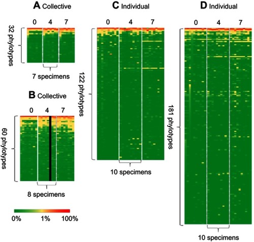 Figure 3 Heat maps showing the percentage distribution of phylotype levels at the 0, 4 and 7 weeks time points. Each row contains 7, 8 or 10 specimens. Each column contains 32, 60, 122 or 181 phylotypes. Percent abundance value of each genus is described by the color key: (A) PGM/Ion Reporter, (B) NextSeq/BaseSpace App, (C) MiSeq/BaseSpace App and (D) MiSeq/QIIME2.