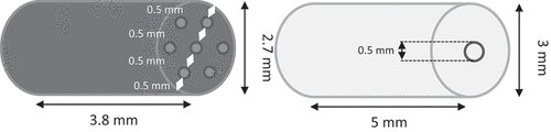 Figure 1. Scheme of the propellants P1 and P2.