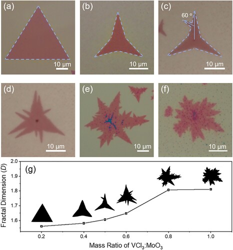 Figure 3. Fractal growth of monolayer V-MoS2 flakes. (a–f) Morphology evolution of monolayer V-MoS2 flakes grown with the increasing mass ratio of VCl3:MoO3 from (a) 1:4, (b) 2:5, (c) 1:2, (d) 3:5, (e) 4:5, and finally to (f) 1:1. (g) Relationship between D and the mass ratio of VCl3:MoO3.