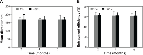 Figure S4 Magnetoliposomes containing recombinant human IFNα2b (MIL) were stable enough when stored for a long time or at low temperature.Notes: (A) The mean diameter of MIL did not show significant difference when MIL was stored for 6 months at −20°C. (B) The drug-entrapment efficiency did not change significantly when MIL was stored for 6 months at −20°C.