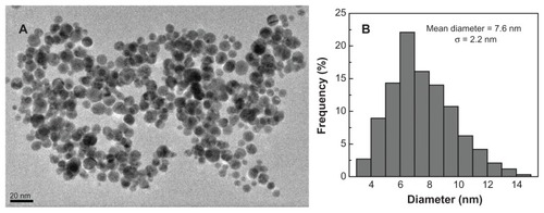 Figure 5 Transmission electron microscopy image (A) and size distribution histogram (B) of the polyethyleneimine-stabilized gold nanoparticles (Au/PEI).