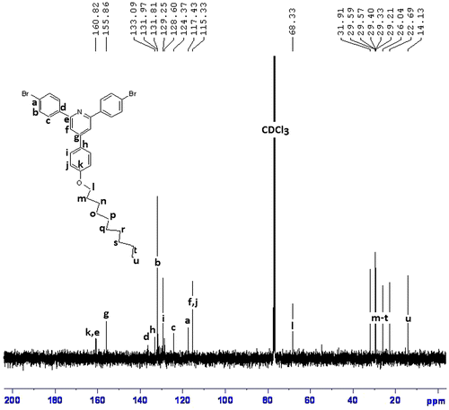 Figure 7 13C NMR spectrum of R3.