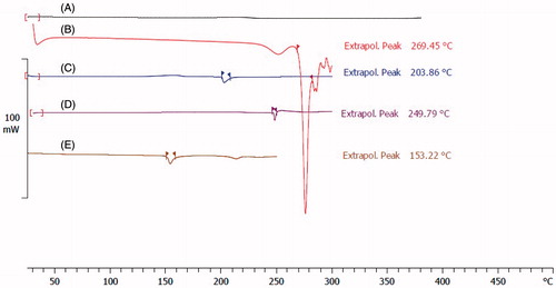 Figure 3. DSC thermograms of (A) bare Fe3O4, (B) pure L-Lysine, (C) F-Lys NPs, (D) F-Lys-MTX NPs, and (E) pure MTX.