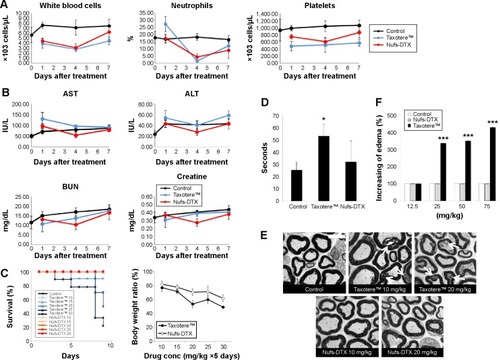 Figure 4 In vivo toxicity of Nufs-DTX.Notes: (A) All values of CBC count (WBCs, neutrophils, and platelets) of both the groups were within normal ranges. (B) All values of AST, ALT, BUN, and creatinine in both the groups were within normal ranges. (C) Kaplan–Meier plot (n=10), right panel shows changes in body weight (P<0.001, Student’s t-test between the Taxotere™ group and the Nufs-DTX group). While there was no event of death observed in the Nufs-DTX-treated group, only 20% survival rate was observed in the Taxotere™ 30 mg/kg group. A significant loss of body weight was observed in a Taxotere™-treated group. (D) Paw withdrawal latency time (n=5). Taxotere™ significantly increased thermal threshold (*P<0.05, Student’s t-test between the Taxotere™ group and the control group). (E) An electron microscopic analysis of neuropathological changes in the sciatic nerve after Nufs-DTX treatment. While there were no or minor myelin shape changes in the Nufs-DTX-treated group, collapsed or irregular axons and abnormally condensed myelin sheaths (white arrows) were observed in a Taxotere™-treated group. (F) DTX-induced edema (n=5). Accumulative injections of Taxotere™ induced paw edema. However, no changes were observed in the in Nufs-DTX-treated group (***P<0.001, Student’s t-test between the Taxotere™ group and the control group).Abbreviations: ALN, alanine transaminase; AST, aspartate transaminase; BUN, blood urea nitrogen; CBC, complete blood count; DTX, docetaxel; Nufs, nanoparticulation using fat and supercritical fluid; WBCs, white blood cells.