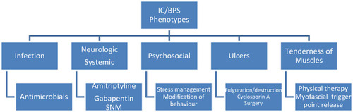 Figure 1 A treatment guide based on INPUT patient phenotype.