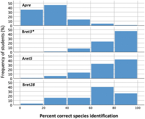 Figure 2. The students’ species identification scores for all four tests (Apre, Aret5, Bret3* and Bret28) grouped in five categories by score (% correct answers) and plotted against frequency of students (%) in each category. *The Bret3 test included only 14 species, whereas the other tests included 18 species.