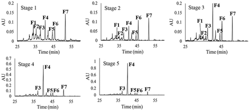 Figure 4. HPLC chromatograms of phenolic compounds of fruits in five maturity stages (S1–S5) of Malpighia umbellata. HPLC chromatograms were registered at 340 nm with an acidified water–acetonitrile gradient method.Figura 4. Cromatogramas obtenidos por HPLC de los compuestos fenólicos de frutos en cinco estados de madurez (S1–S5) de Malpighia umbellata. Los cromatogramas se registraron a 340 nm con un método en gradiente de agua acidificada y acetonitrilo.