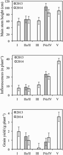 Figure 4. Main stem height, the number of inflorescences and grain yield of buckwheat plants, as affected by sowing date. Data are means of five replicates and vertical bars denote LSD.